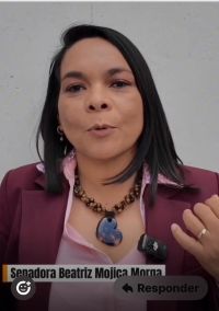 *Senadores de Morena reconocen labor legislativa del Senador Nino Morales* *Senadores de Morena reconocen labor legislativa del Senador Nino Morales*